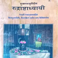 रुद्राष्टाध्यायी महेश गुरुकुल - Rudrashtadayi mahesh gurukulam