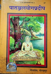 Patanjal Yog Pradip Of Swami Omanand Gita Press