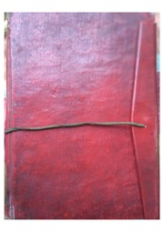 रामायण नेपालीमा - Ramayan In Nepali